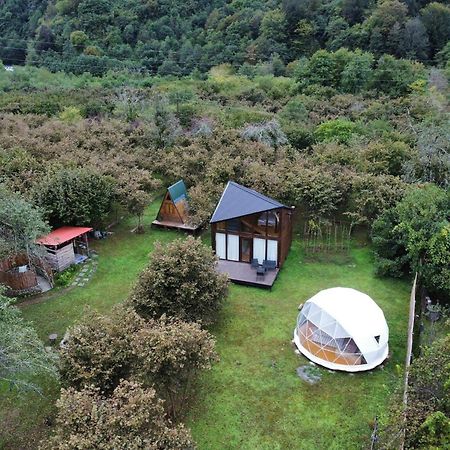 Hotel Dumbo Eco Camp Ozurget'i Zewnętrze zdjęcie
