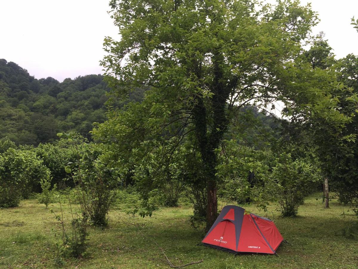 Hotel Dumbo Eco Camp Ozurget'i Zewnętrze zdjęcie