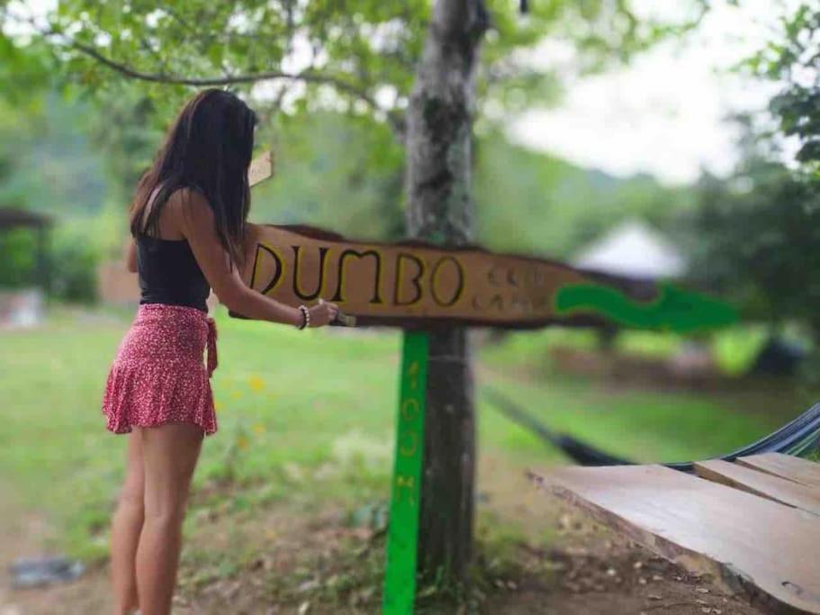 Hotel Dumbo Eco Camp Ozurget'i Zewnętrze zdjęcie