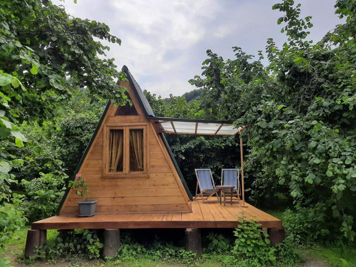 Hotel Dumbo Eco Camp Ozurget'i Zewnętrze zdjęcie
