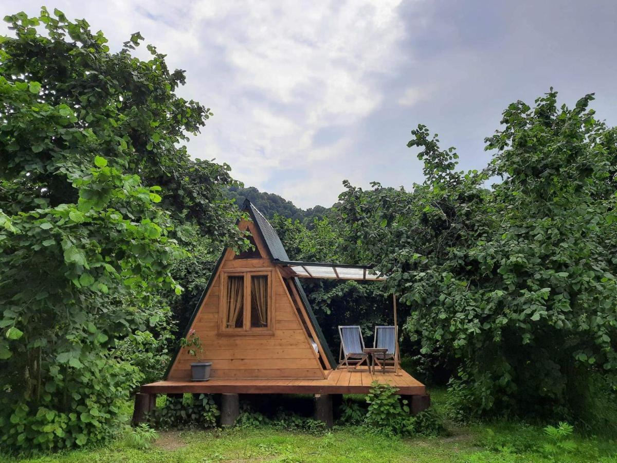 Hotel Dumbo Eco Camp Ozurget'i Zewnętrze zdjęcie