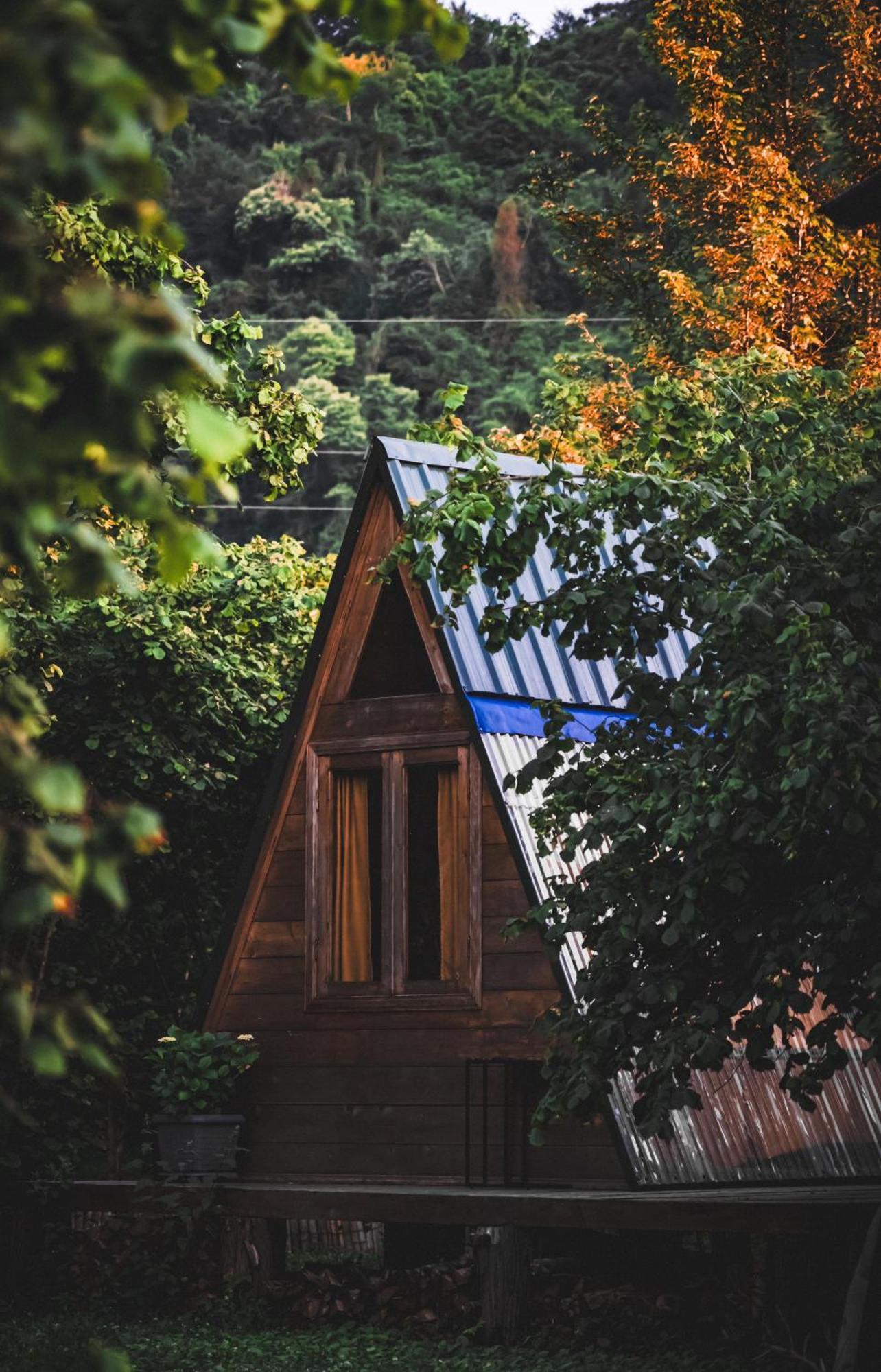 Hotel Dumbo Eco Camp Ozurget'i Zewnętrze zdjęcie